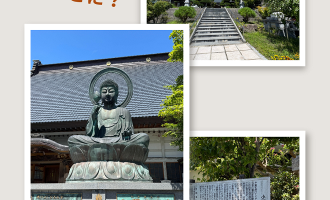 🗿続・あの仏像は今どこに！？🗾