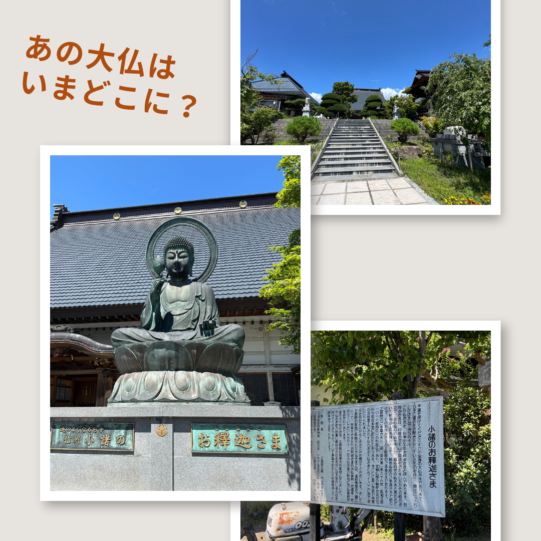 🗿続・あの仏像は今どこに！？🗾
